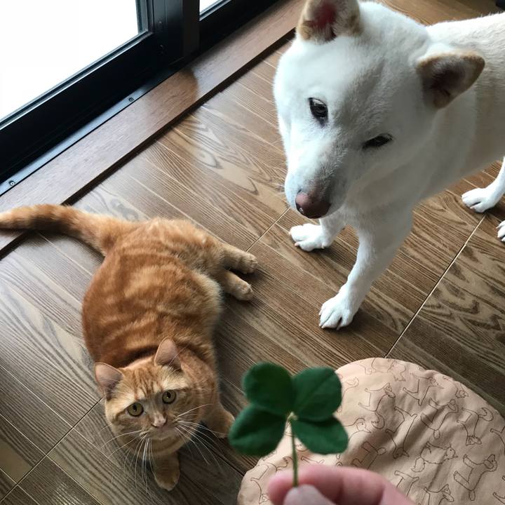 0feb00e7 3c2b 4a43 8efc ef91a5aaca11 1538698424277