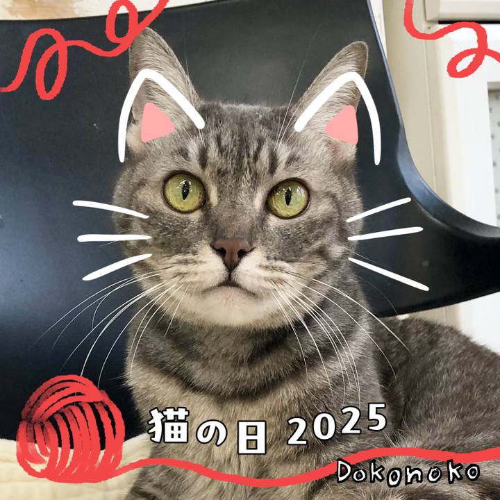 0feb16e6 c93b 4271 9fbb 2f18e630ab96 1740201184252