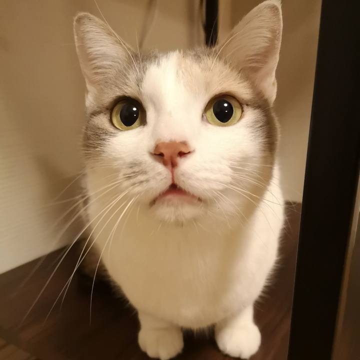 0feb2958 9591 4739 9879 99af6c8a507a 1576679123902