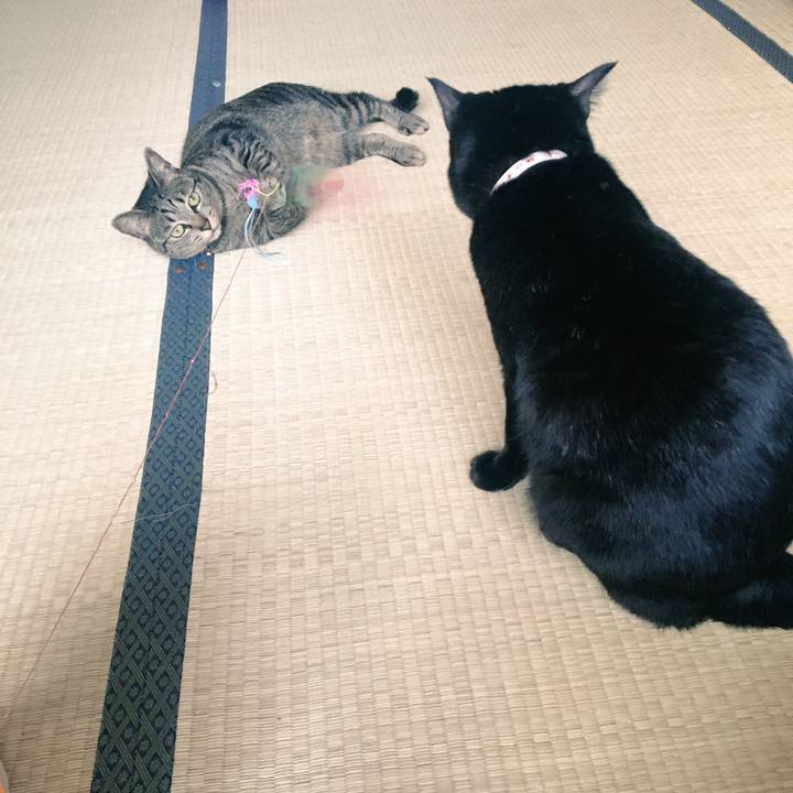 0feb4912 bc6e 40ca b986 708271135ab7 1526602756698