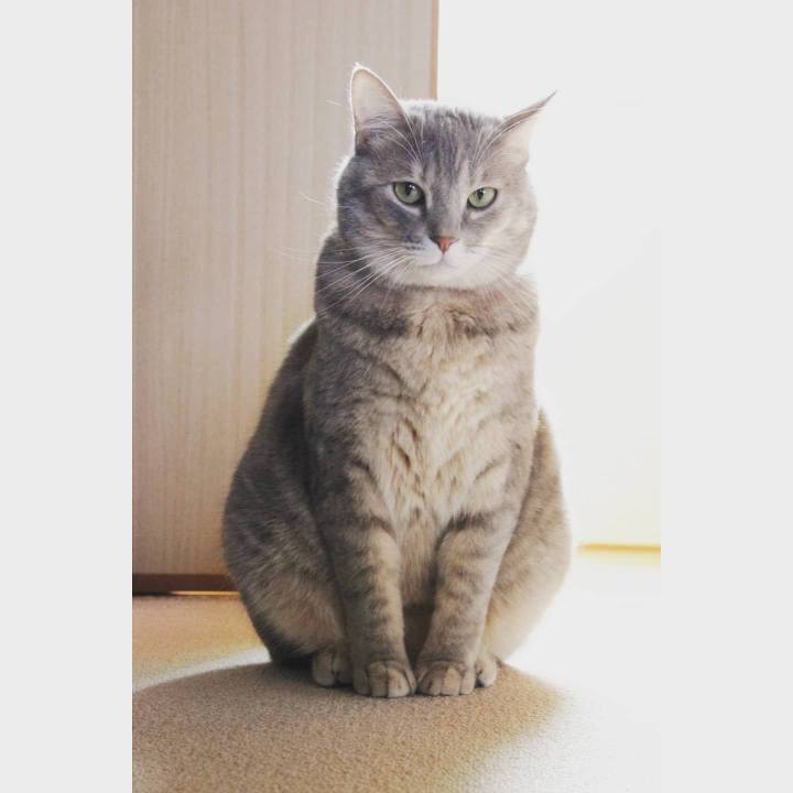 0feb4c4f 280c 47af 837f 41528492d06d 1603632120713