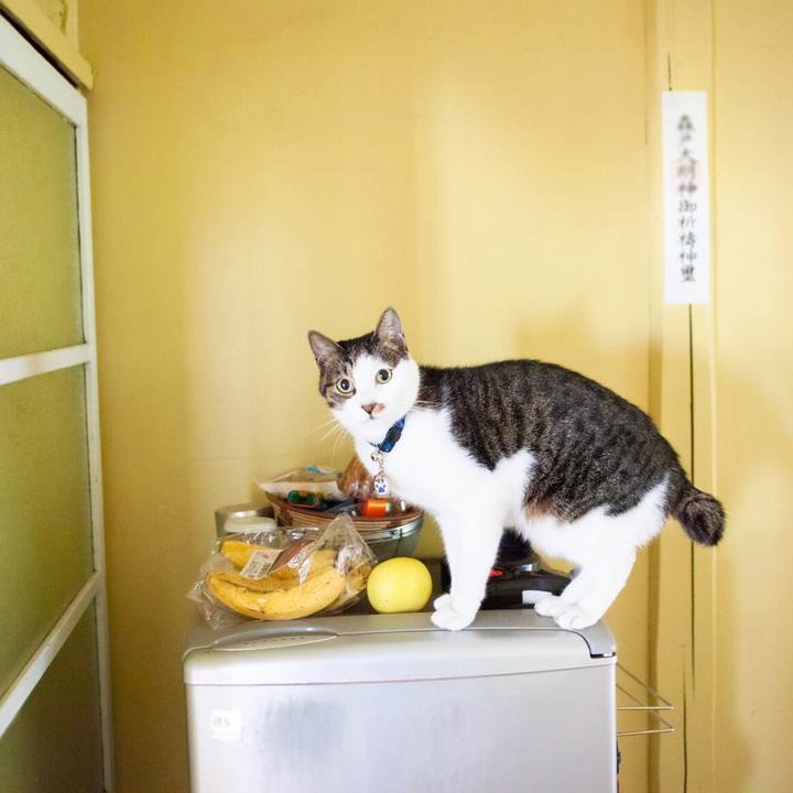 0feb61e5 f744 4d13 babc ab32f9729b4a 1602819166424