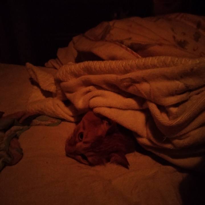 0feb7859 2475 47de a293 22147cb17cc1 1673997295862