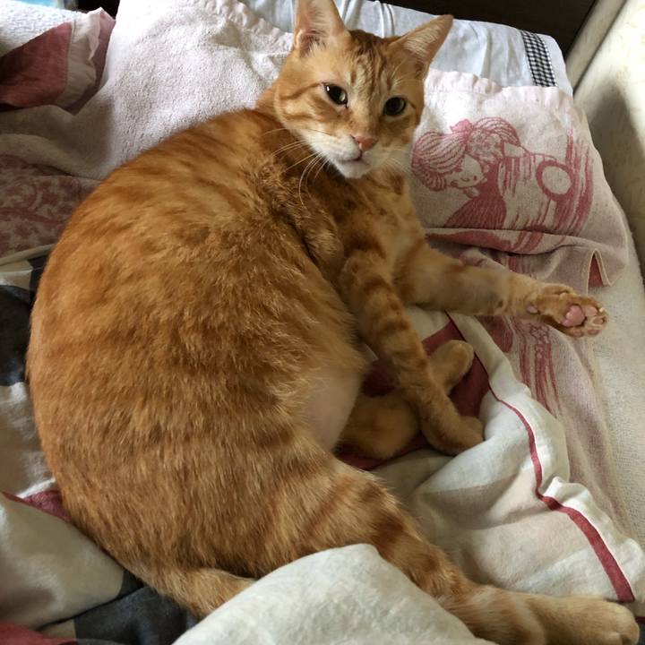 0feb9e1e 4363 477b a0ee 868140c69616 1570245491657