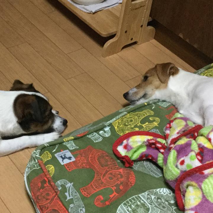 0feba896 c7d0 443d ac4a 1e8b11931c8d 1531913219186