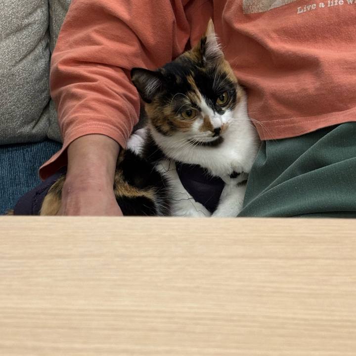 0febc312 0212 413b a4d6 9bb993b451e5 1767346273793