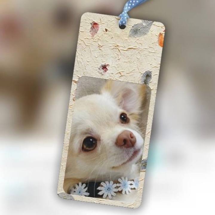 0fec101b eac6 4481 b662 1c539c5022ba 1609157862381