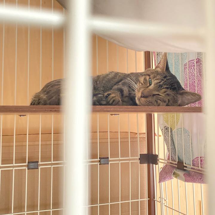 0fec307f 1732 4f50 9719 3e217634aeda 1662032388237