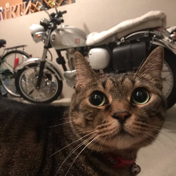 0fec56b2 6e63 4563 b089 919eac95a0d4 1562590137033