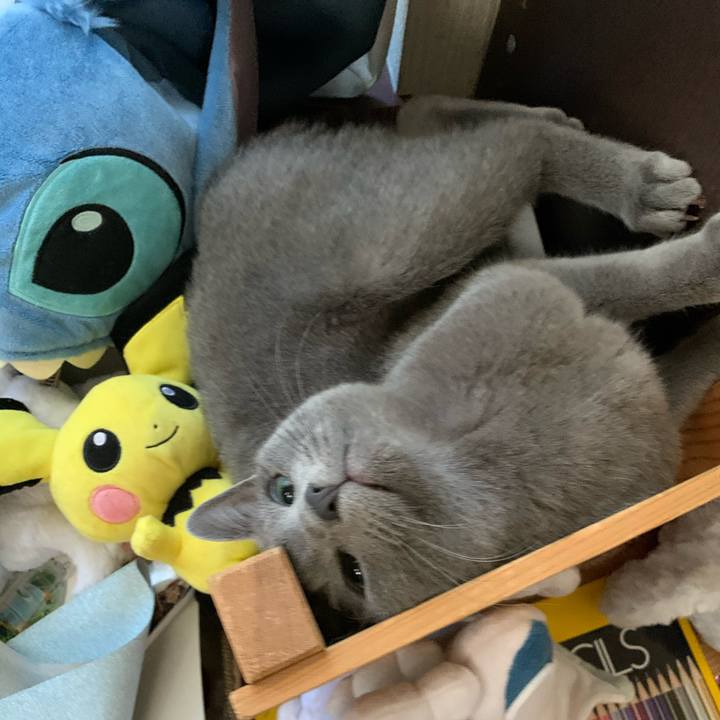 0fec9b82 82ef 4702 972e f64d574a63c0 1581378294572