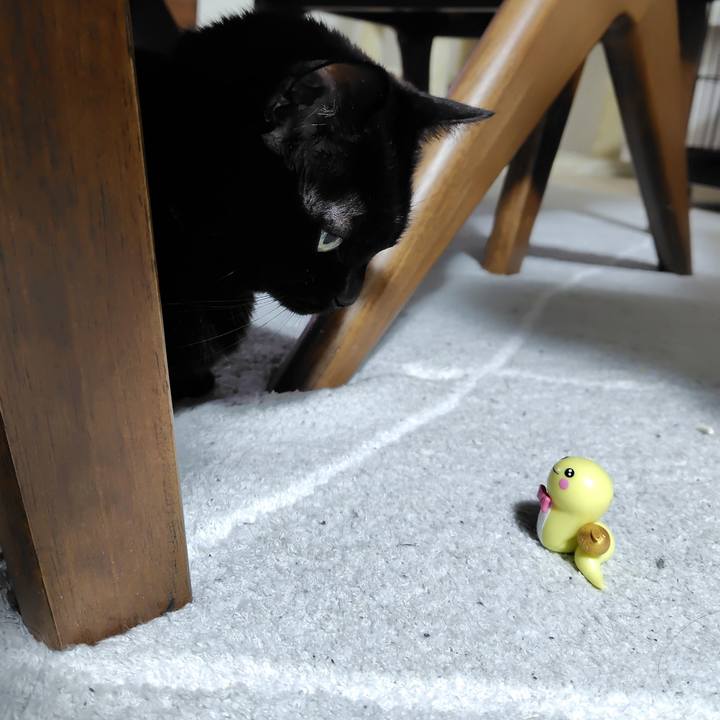 0fec9e5a e4ae 4fc2 b35a b9ec549aa743 1736599801321