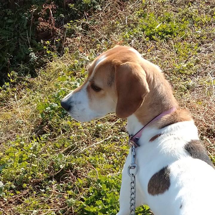 0fecca1f 1e48 4507 a0f0 be76e3fd7c3a 1577074927343