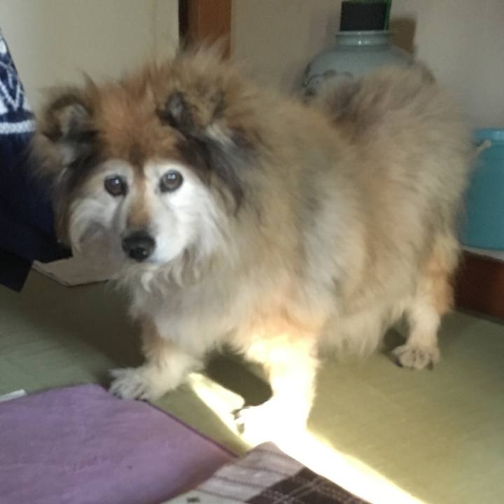 0fecdbcf c2ab 4def a586 6f6ac0c77060 1622309761587