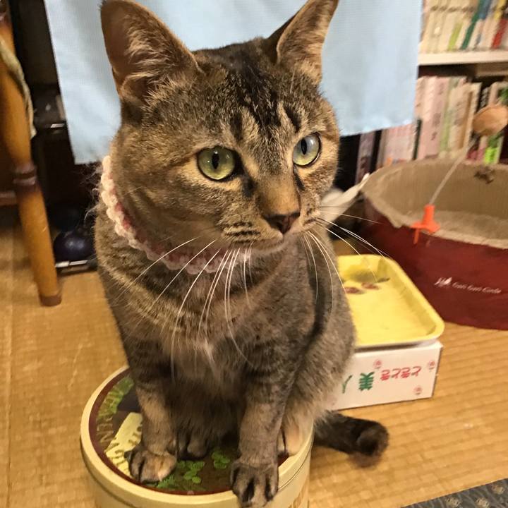 0fecfe56 ca8c 4384 833d 9dca380b70f8 1654759277035