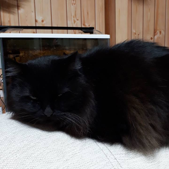 0fed06fb 68f8 4fcc 8c7b ef3d621695be 1518024454512