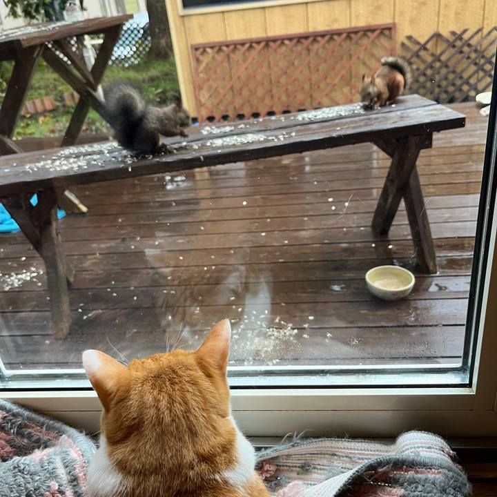 0fed3795 c83e 4eba a250 4f6dbb15c4fc 1696541271461