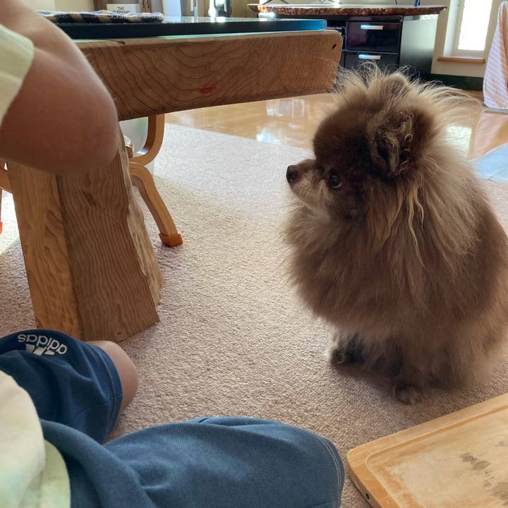 0fed478e c5f5 44ce 9724 35de2d139dfd 1727583913544