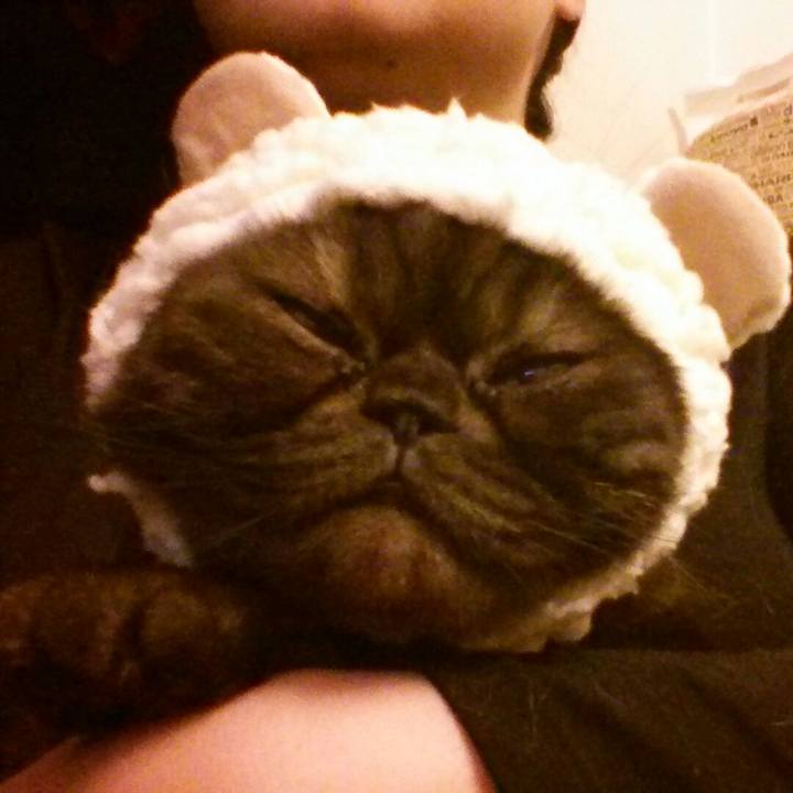 0fed4eff d6d8 498a ab03 675b42068714 1514200790978