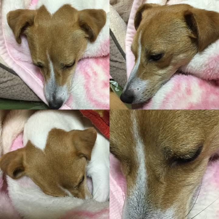 0fed709f 4d2d 48a6 ace8 eae980d88382 1545306674899