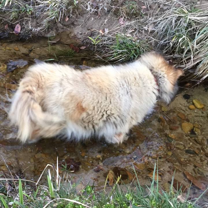 0fed9cf7 e6bd 4d7a a591 6a8430a76224 1600996970468