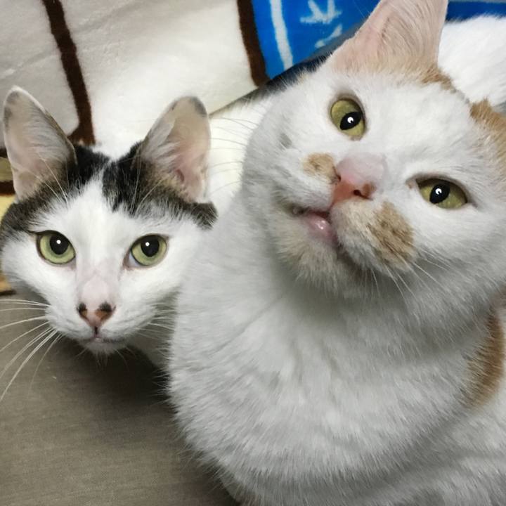 0fed9f11 0851 4f39 abc2 ecddbbbc9507 1545573043773