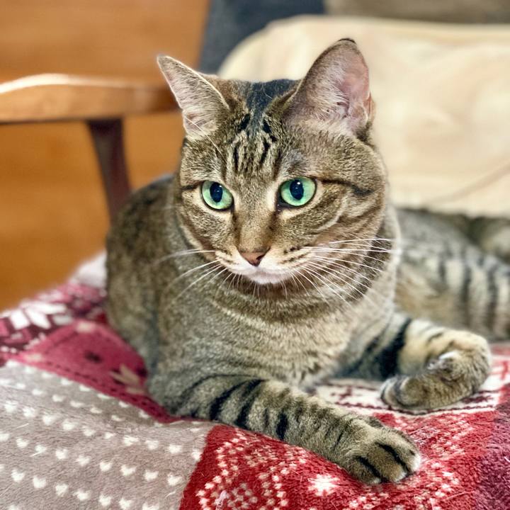 0fedaa9d b4ab 47d9 b319 603016985f40 1567399126374