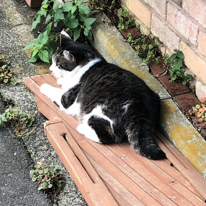 0fedbb7d 50af 43d4 b7b3 12f82a9cc191 1531039617407