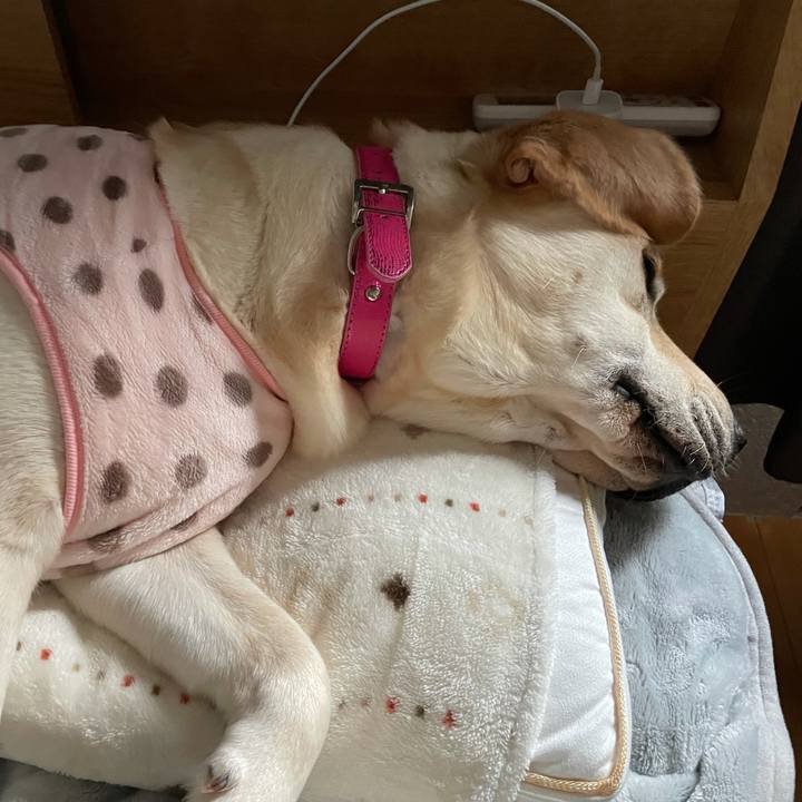 0fedee88 703d 409f bb33 1d6fe9d73f14 1634856650183