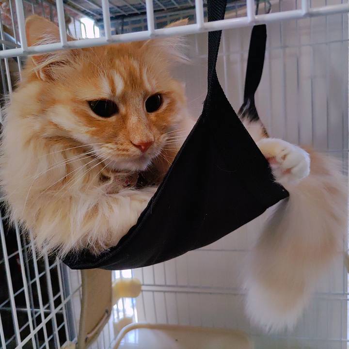 0fedf3db bdb1 40ad a0cb e0924f368fe5 1685915817184