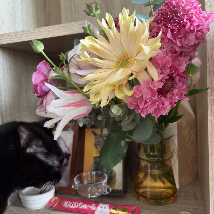 0fedfb6c 4525 44d1 9990 50073adbf0c8 1775783663135