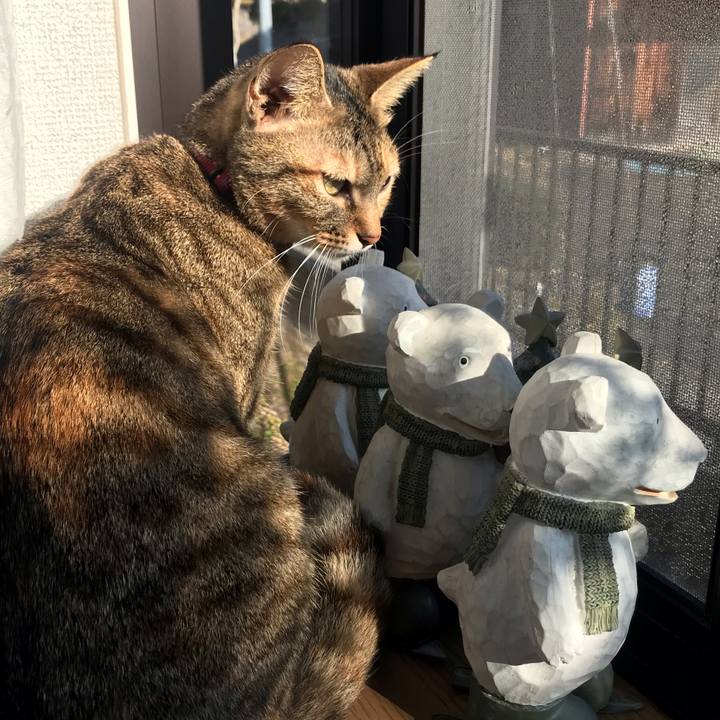 0fee2232 6743 4b0e 9e5f abf7243045f5 1576457886455