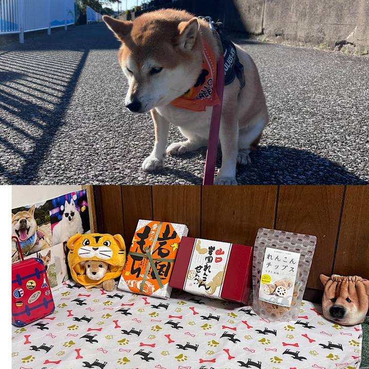 0fee3d6d d4f4 46f9 8955 da69af2c6b79 1667302448032