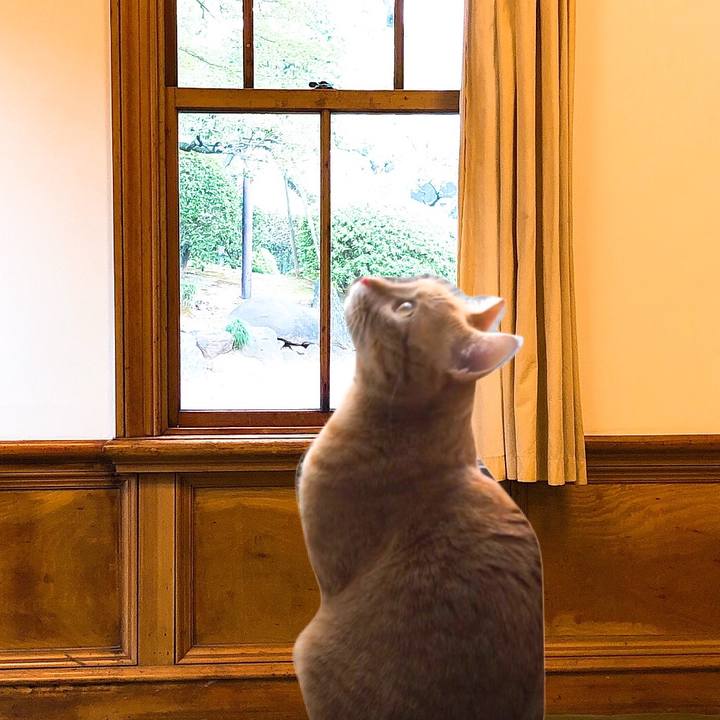 0fee5dcf 22eb 4370 9a90 35060860849a 1558398668433