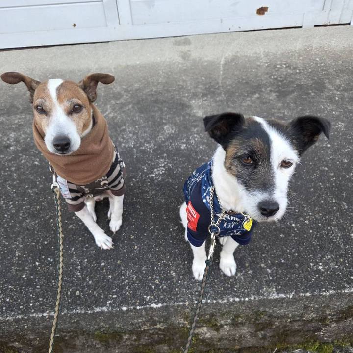 0fee61fc 4946 450c 9c8c bb6d51dbea0a 1771110196720