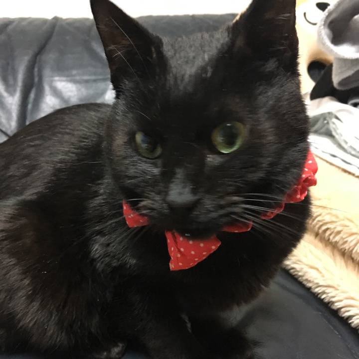 0fee8b93 4740 4abc 9ff1 152d42276c91 1551129314332