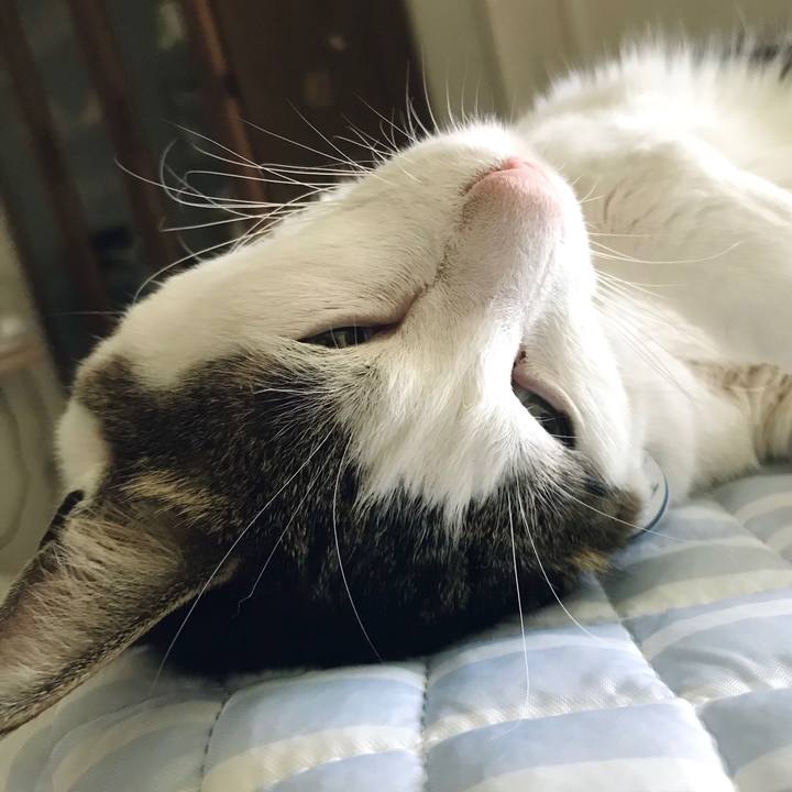 0feeade9 02d3 4557 8366 b599b5ab2d80 1623387657051