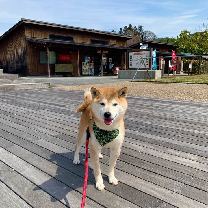 0fef006e bb1d 4d50 bf55 45524f4e0fb7 1648458435601