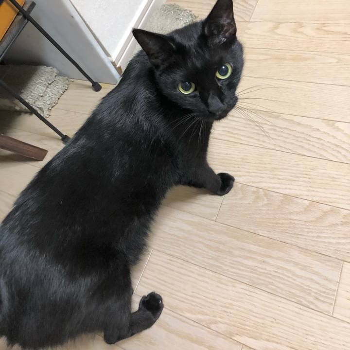 0fef40f2 12fb 400c 857e 21824833b8fd 1633620695151