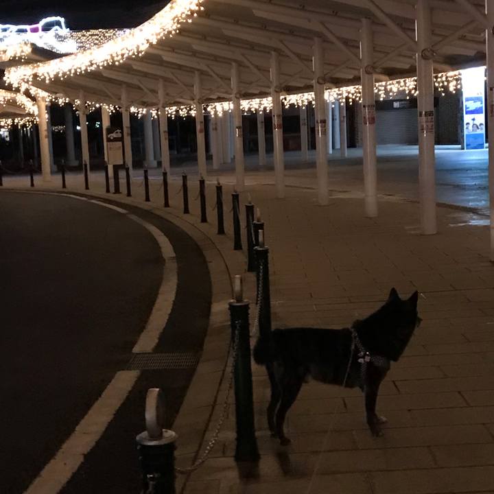 0fef8d01 b6b1 4e6d 8f86 02a444f3fb40 1573536814827