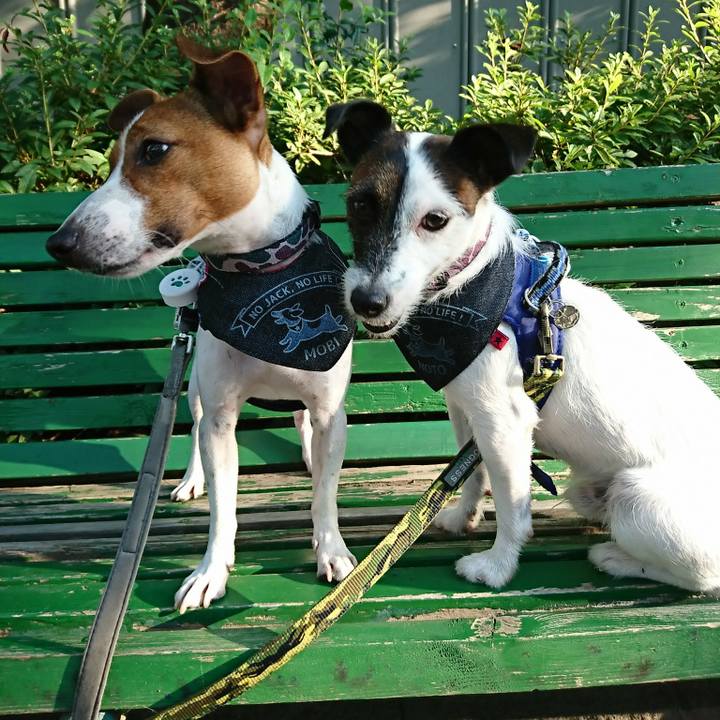 0fef9b24 bd89 4a05 9c3f d72a963f8eef 1533894782927