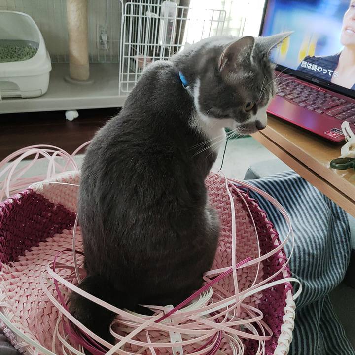 0fef9ce7 8ca7 489e bbd4 cfedc9c04212 1654578059616