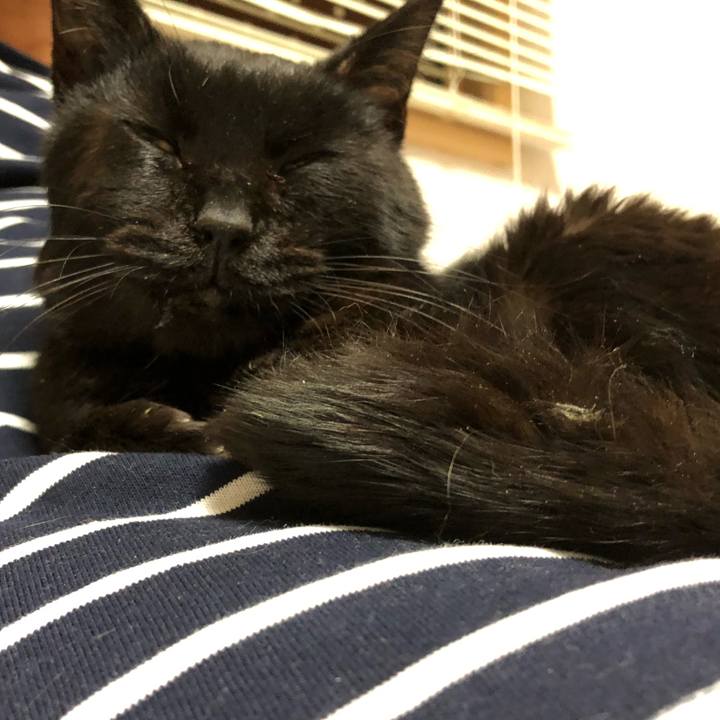 0fefa9c3 d090 4b16 81ba 84bba9eec4d5 1554816086970