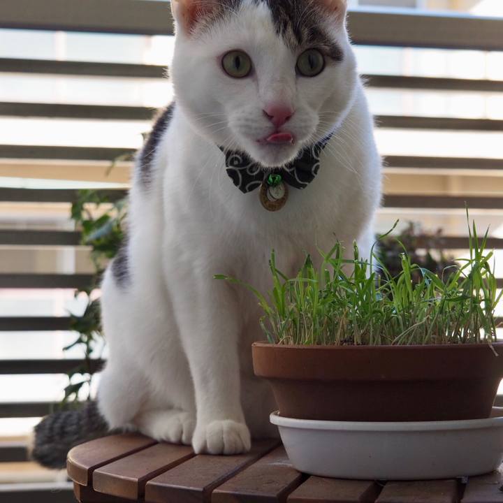 0fefc83f 256e 4b90 a212 2e9413045783 1552712894151