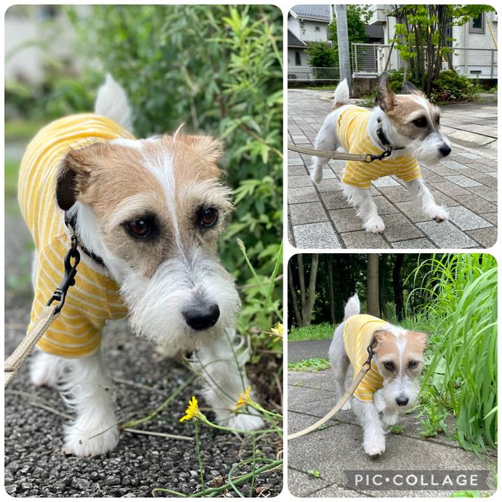 0fefcaba 7cb0 44fb a3c3 117bd7af1d12 1625816203850