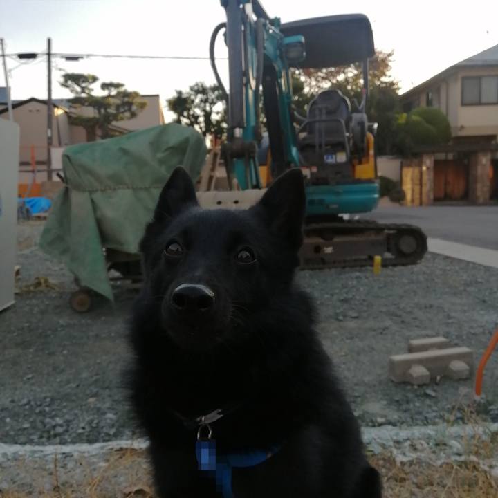 0ff04e12 9b1f 4add ac06 bf5e1ee4ba23 1635977017866