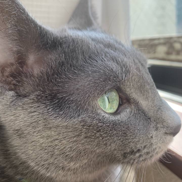 0ff04e9c fc20 46d0 9b7d 719beaa553d5 1641697839675