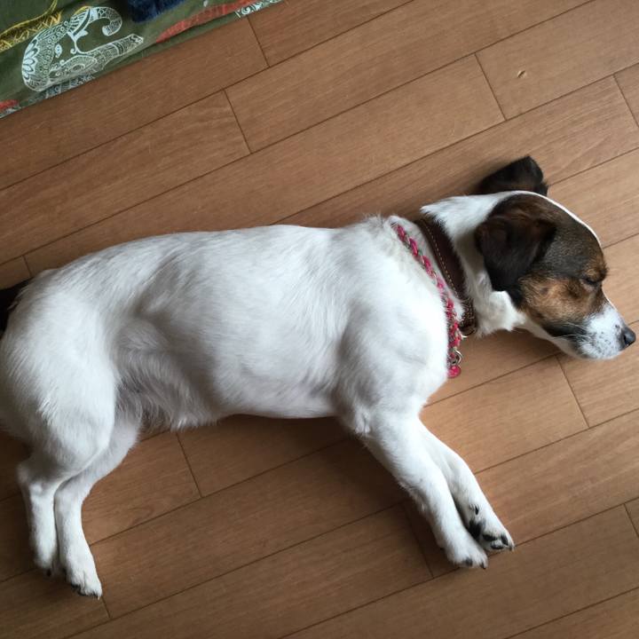 0ff071f2 88bf 4599 9a26 a7f391d78f3f 1526111510979