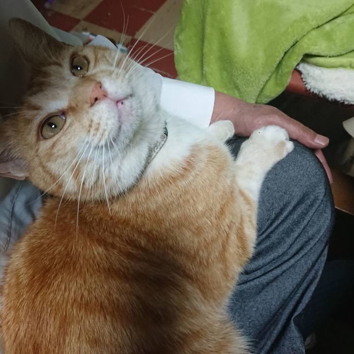 0ff075e2 446d 4239 8480 8608a7958cb2 1588844312436