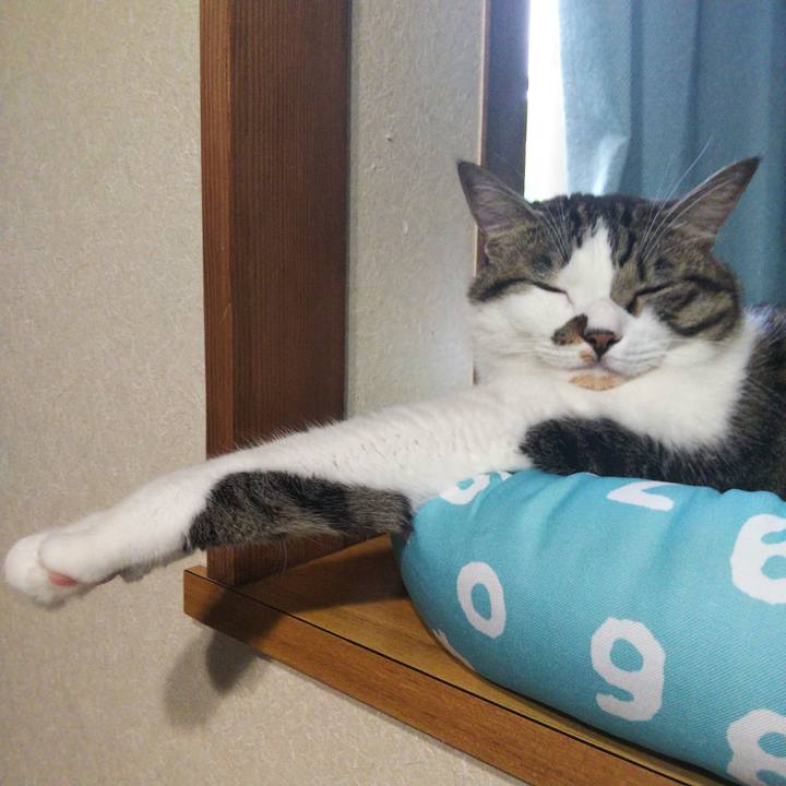 0ff0abf7 762d 41fc 9855 abad0866d448 1665355925217