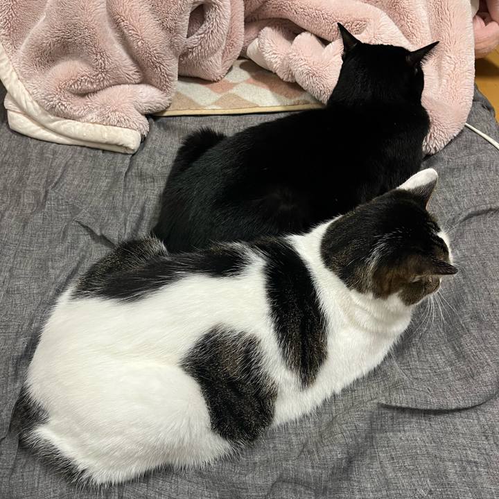 0ff0ae70 5491 4d63 ac1b 80f8349d205d 1733088281949